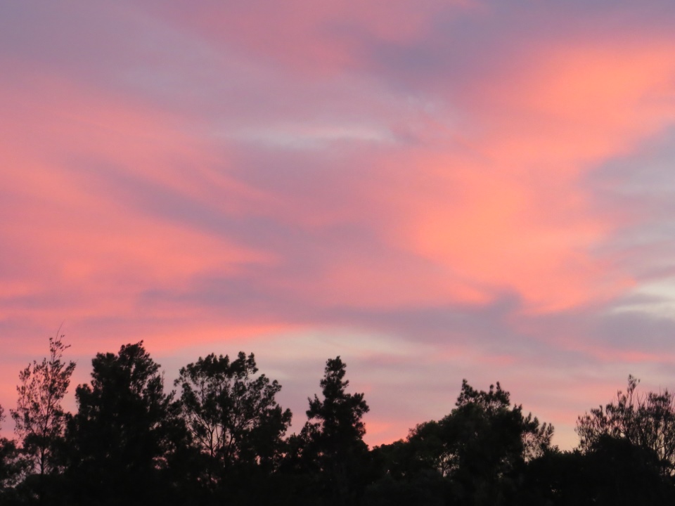 soft pink sunset